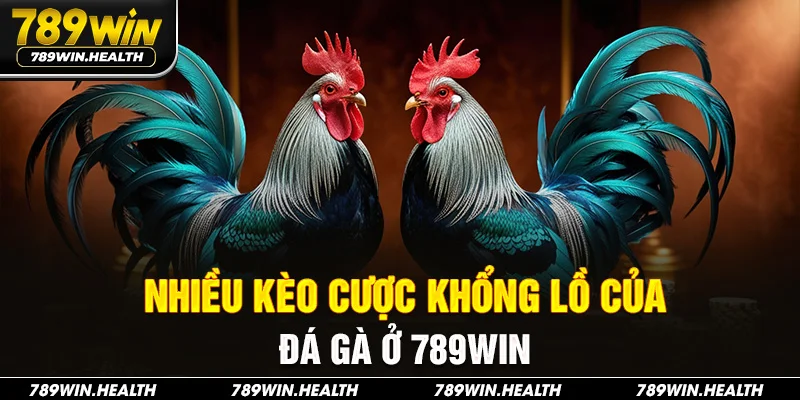 Nhiều kèo cược khổng lồ của đá gà ở 789Win